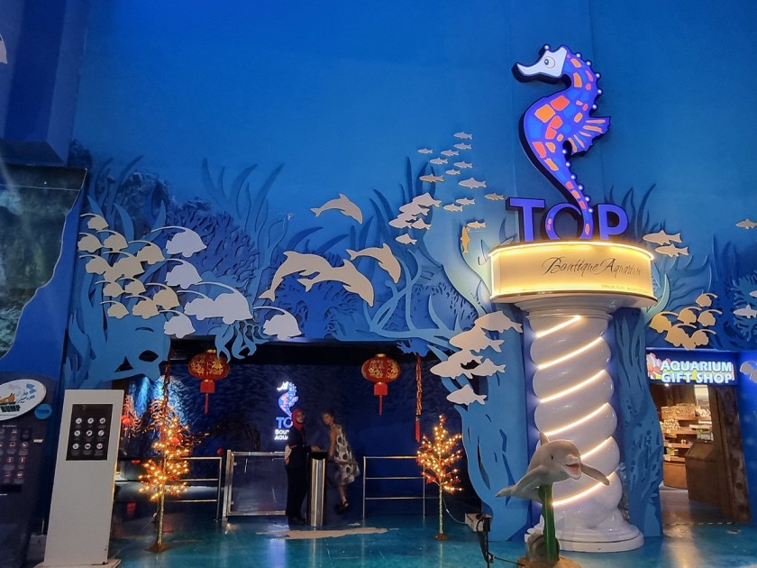 Top Big 5 Attraction